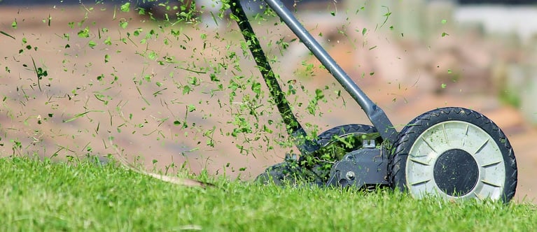 Grass Clippings - when to mulch and when to bag?