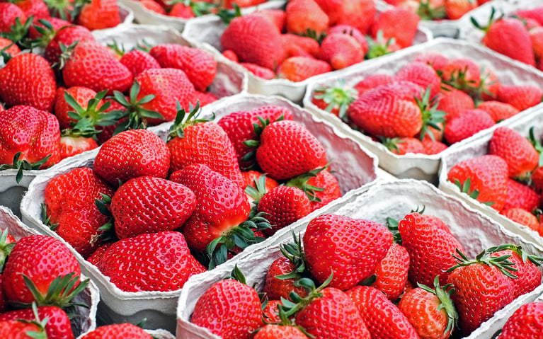Berry growers take control of growing with IRRInet